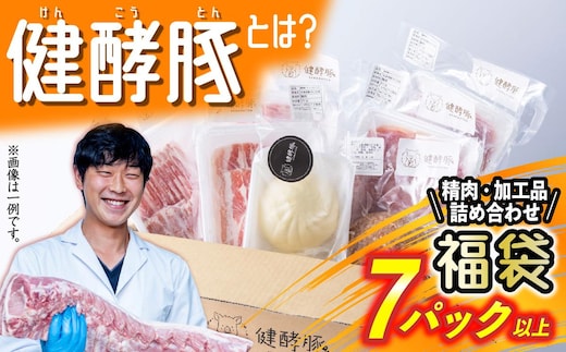 北海道産 健酵豚 お楽しみ 加工品 あり 福袋 7パック以上
