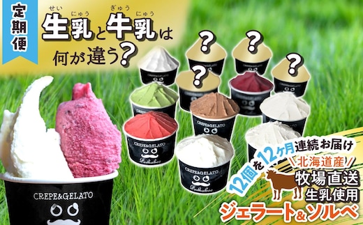 ＜12ヶ月定期便＞北海道産 生乳 ジェラート アイス 毎月12個 詰め合わせ ジェラートセット