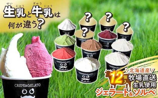 北海道産 生乳 ジェラート アイス 12個入り ジェラートセット