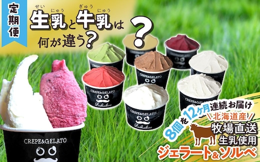 ＜12ヶ月定期便＞北海道産 生乳 ジェラート アイス 毎月8個 詰め合わせ ジェラートセット