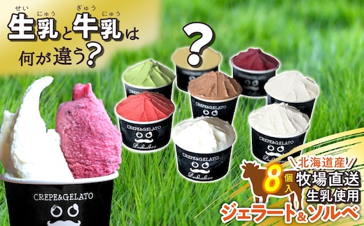 北海道産 生乳 ジェラート アイス 8個 ジェラートセット