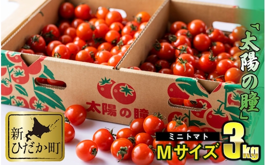 ＜ 9/15までの受付 ＞ 北海道産 ミニトマト 太陽の瞳 M サイズ 3kg 新ひだか町