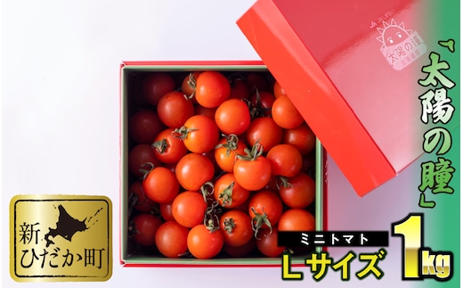 ＜ 9/15までの受付 ＞ 北海道産 ミニトマト 太陽の瞳 L サイズ 1kg 新ひだか町