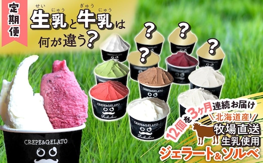 ＜3ヶ月定期便＞北海道産 生乳 ジェラート アイス 毎月12個 詰め合わせ ジェラートセット