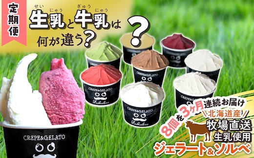 ＜3ヶ月定期便＞北海道産 生乳 ジェラート アイス 毎月8個 詰め合わせ ジェラートセット