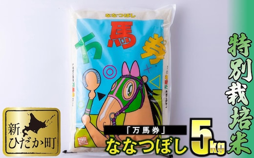 北海道産 特別栽培米 ななつぼし 万馬券 5kg