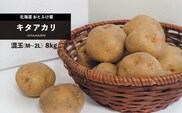 ［先行受付］おとふけ産じゃがいも「きたあかり」10kg（M～Lサイズ）【B28】