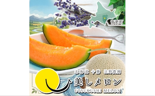 美しメロン 1玉 1.6kg以上 2個入 メロン フルーツ 果物 くだもの 果実 果肉 果汁 国産 北海道産 【 2026年7月上旬~8月下旬発送予定 】
