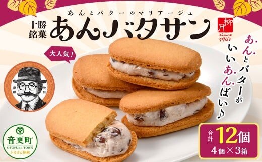 「柳月」あんバタサン12個セット【B77】 お菓子 あんバター
