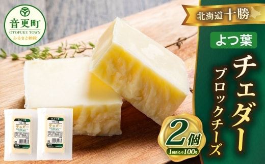 「よつ葉」北海道十勝 チェダー(ブロックチーズ) 100g×2個【B153】