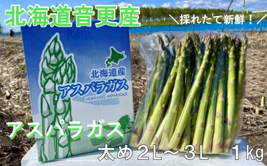 [先行受付]北海道音更産「川野農園」のグリーンアスパラ1kg(太め2L~3L)【A66】【2026年5月中旬~6月上旬発送予定】