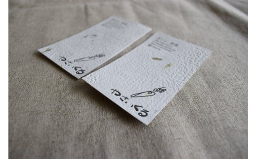 北海道十勝の野菜を活用したアップサイクル名刺30枚【C52】