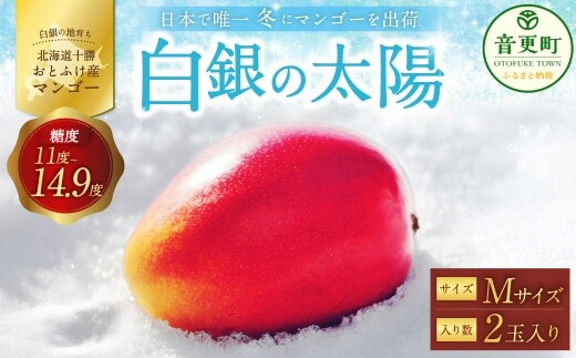 [ 先行受付 ] おとふけ産マンゴー「 白銀の太陽 」 Mサイズ × 2玉 【 C96 】《2026年11月上旬より発送開始予定》
