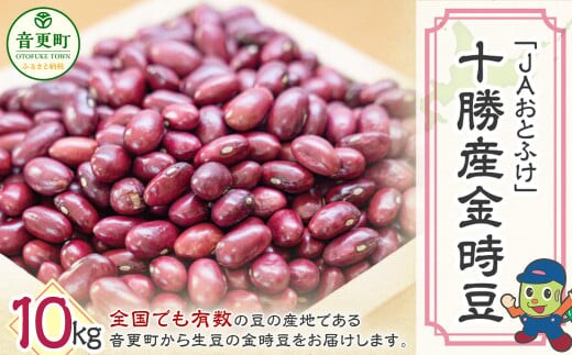 【令和7年産】 金時豆10kg「JAおとふけ」【D43】