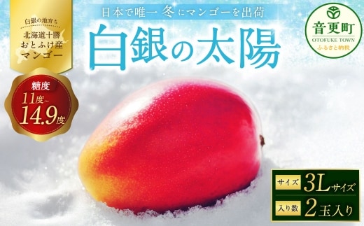 [ 先行受付 ] おとふけ産マンゴー 「 白銀の太陽 」 3Lサイズ × 2玉 【 D63 】《2026年11月上旬より発送開始予定》