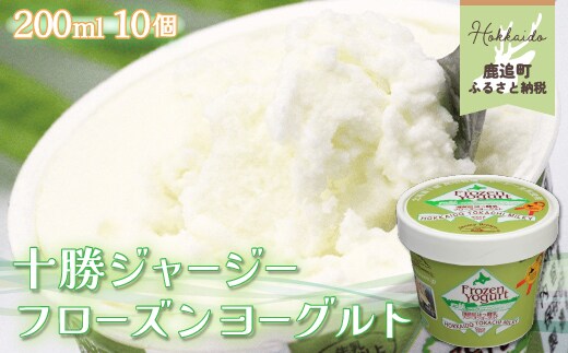 十勝ジャージー フローズンヨーグルト 10個セット SKM003