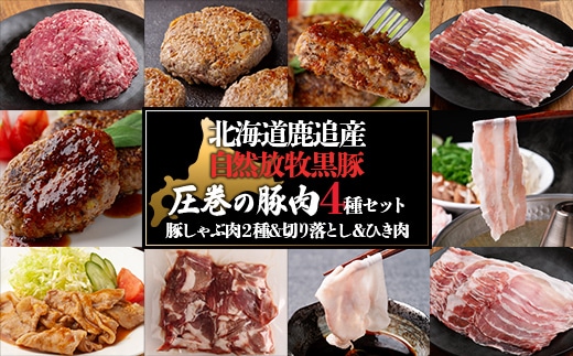 十勝鹿追町産 自然放牧黒豚 圧巻の豚肉 しゃぶしゃぶ肉と切り落とし＆ひき肉のセット （2100ｇ）定期便12回 SKN016
