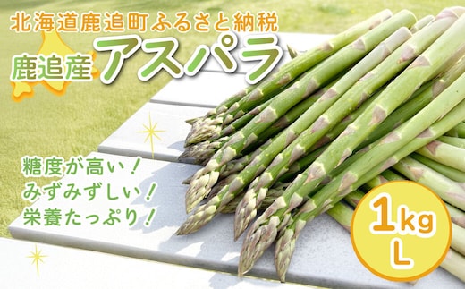 【5月中旬以降発送】鹿追産アスパラ（1kg）L SKA038