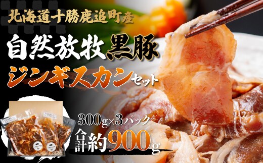 鹿追産 自然放牧黒豚ジンギスカンセット SKN002