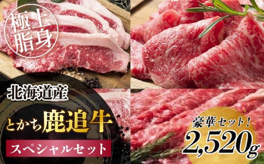 とかち鹿追牛 スペシャルセット 2,520g SKA018