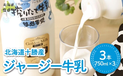 ジャージー牛乳 750ml ×3 SKM046