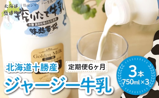 【定期6ヶ月】ジャージー牛乳 750ml ×3 SKM048