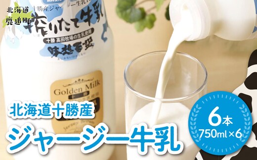 ジャージー牛乳 750ml ×6 SKM050