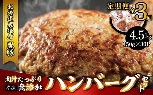 鹿追産 自然放牧黒豚 肉汁たっぷり無添加ハンバーグセット 3ヶ月定期便 150ｇ×10 SKN020