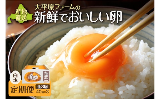【3回定期便】大平原ファームの新鮮でおいしい卵 計40個(白卵)×3ヶ月