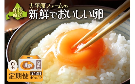 【12回定期便】大平原ファームの新鮮でおいしい卵 計40個(白卵)×12ヶ月