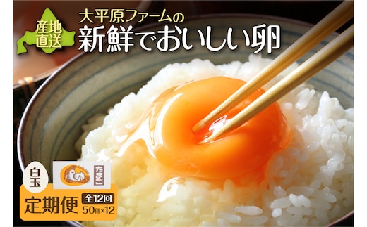 【12回定期便】大平原ファームの新鮮でおいしい卵 計50個(白卵)×12ヶ月
