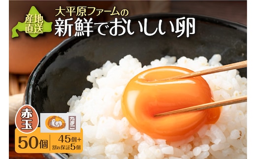 大平原ファームの新鮮でおいしい卵(赤卵) 50個