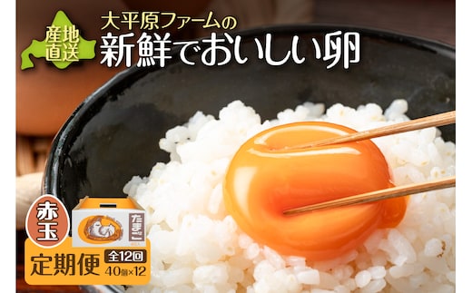 【12回定期便】大平原ファームの新鮮でおいしい卵 計40個(赤卵)×12ヶ月