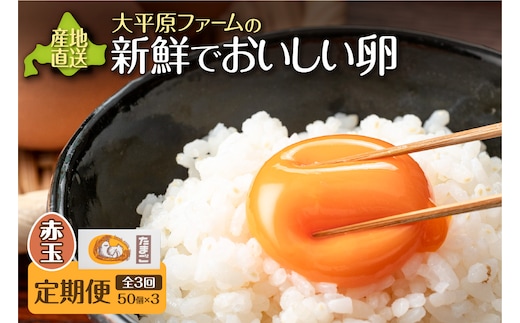 【3回定期便】大平原ファームの新鮮でおいしい卵 計50個(赤卵)×3ヶ月