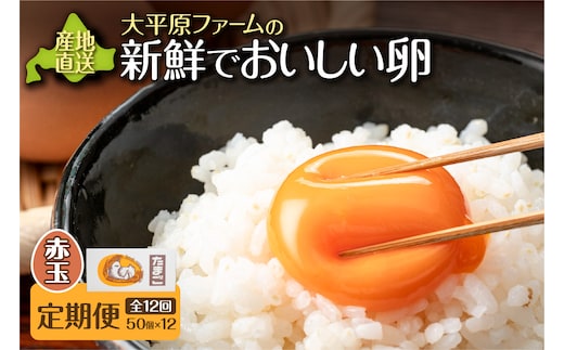 【12回定期便】大平原ファームの新鮮でおいしい卵 計50個(赤卵)×12ヶ月
