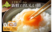 大平原ファームの新鮮でおいしい卵 40個