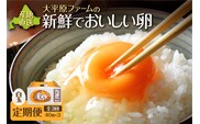 【3回定期便】大平原ファームの新鮮でおいしい卵 計40個(白卵)×3ヶ月