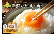 【6回定期便】大平原ファームの新鮮でおいしい卵 計40個(白卵)×6ヶ月