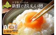 【12回定期便】大平原ファームの新鮮でおいしい卵 計40個(白卵)×12ヶ月