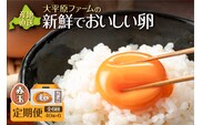 【6回定期便】大平原ファームの新鮮でおいしい卵 計40個(赤卵)×6ヶ月