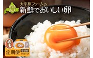 【12回定期便】大平原ファームの新鮮でおいしい卵 計40個(赤卵)×12ヶ月