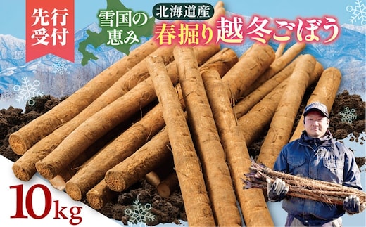 【先行予約】2026年春 北海道十勝清水町産 越冬ごぼう 10kg 雪下甘み 春堀り 土付き 手作業収穫 食物繊維豊富 自然栽培 野菜_S045-0002