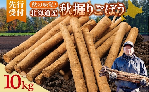 【先行予約】2026年秋 北海道十勝清水町産 秋堀りごぼう 10kg 土付き 手作業収穫 食物繊維豊富 新鮮 野菜 秋の味覚_S045-0004