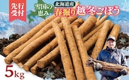 【先行予約】2026年春 北海道十勝清水町産 越冬ごぼう 5kg 雪下甘み 春堀り 土付き 手作業収穫 食物繊維豊富 自然栽培 野菜_S045-0001