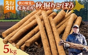 【先行予約】2026年秋 北海道十勝清水町産 秋堀りごぼう 5kg 土付き 手作業収穫 食物繊維豊富 新鮮 野菜 秋の味覚_S045-0003