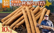 【先行予約】2026年秋 北海道十勝清水町産 秋堀りごぼう 10kg 土付き 手作業収穫 食物繊維豊富 新鮮 野菜 秋の味覚_S045-0004