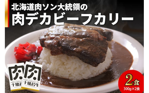 北海道 肉ソン大統領 の 肉デカ ビーフカリー