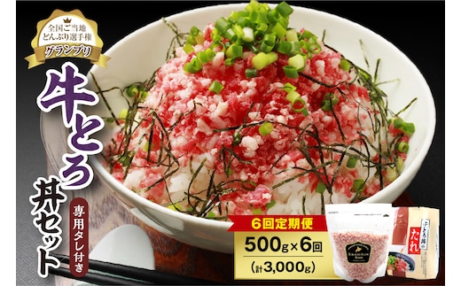 【6回定期便】人気の牛とろ丼セット 500g 専用タレ付き