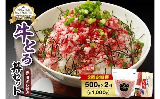 【2回定期便】人気の牛とろ丼セット 500g 専用タレ付き