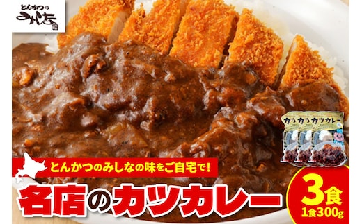 レンジで温めるだけ！みしな大人気メニューをお家でお手軽調理！ とんかつのみしな 冷凍カツカレー 3食セット